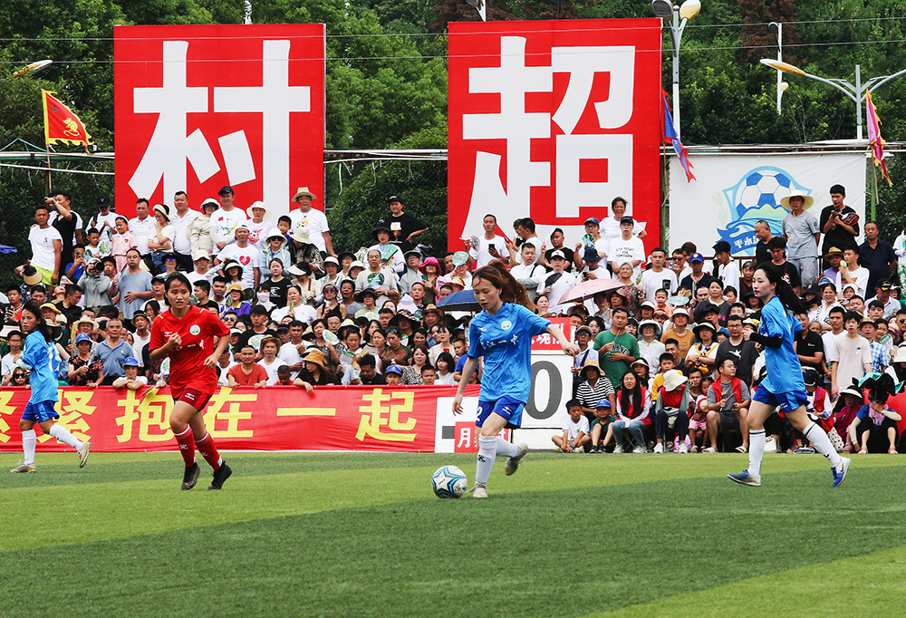 茨在内线的 茨在内线的